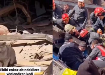 Macja udhëheq ekipin e kërkimit, shpëtohet nëna me 2 fëmijë