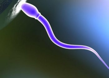 Shkencëtarët pranë prodhimit të kontraceptivit për meshkujt