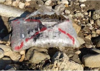 Bregdeti i Kretës, mbushet me kanabis, dalin në breg mbi 130 kg