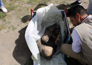 I riu habit policinë, i gjejnë të “dashurën” 800-vjeçare në çantë