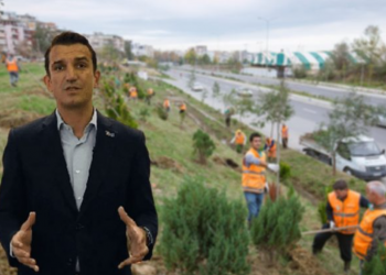 KPP legalizon mashtrimin me 3 mld lekë për pyllin e Veliajt –