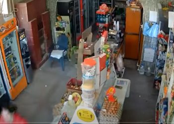 VIDEO/ Tërmeti ‘shkundi’ këtë vend, ja pasojat