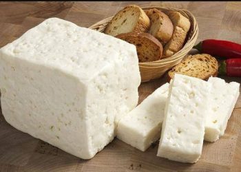 Çmenduri! S’hamë dot një copë djathë –