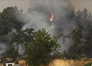 Greqia bën llogaritë me dëmin e madh natyror