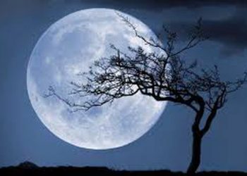 Hëna e re në Dash paralajmëron ndryshime të mëdha –