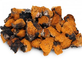 Kjo është “lëvorja e djegur” e aftë për të na shpëtuar nga kanceri –