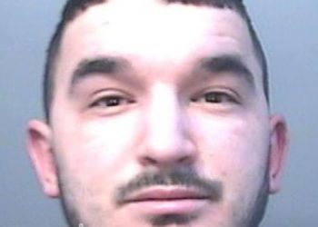 U kap në shtëpi bari, shqiptari ‘shokon’ gjyqtarët me atë që… –