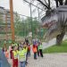 Skandali, kafshët e Kopshtit Zoologjik në Tiranë s’kanë spital –