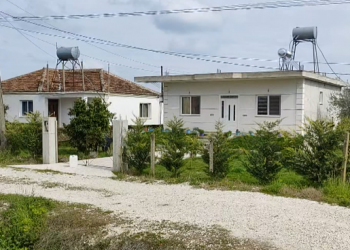 VIDEO/ ‘Plasin’ vjedhjet në Lushnjë, banorët të shqetësuar –