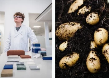 Ja materiali kryesor që do shërbejë për ndërtimin e shtëpive në Mars –