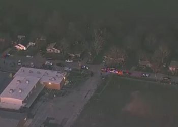 Një grua çmendet dhe vret tre nga fëmijët e saj