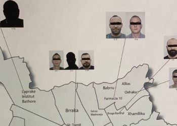 Hoxha zbulon epiqendrat e hashashit, kokainës dhe ekstazit në Tiranë –