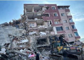 Tërmeti shkatërrimtar në Turqi, vendimi që ka marrë qeveria