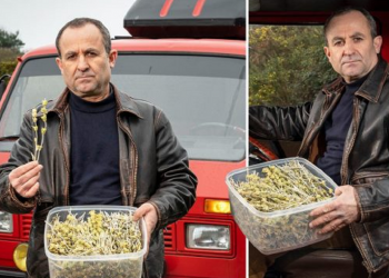 E kapën me çaj mali, policia angleze arreston shqiptarin –