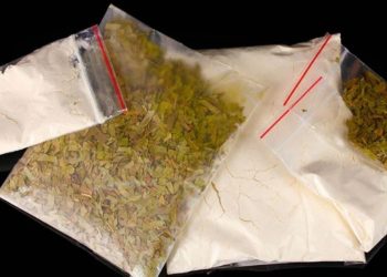 Shqiptari i kapur me kokainë habit gjykatësit: Më duhet për… –