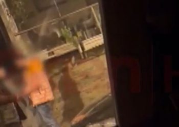 ME VIDEO/ Si shitej droga në shkolla e lokale në Tiranë –