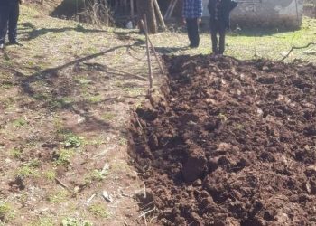 U shpërthen granata duke punuar tokën në Prrenjas, 3 të plagosur –