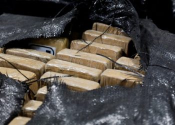 Gjermani, sekuestrohen 1.2 ton kokainë pranë Potsdamit –