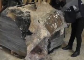 Itali/ Kapen 760 kg kokainë, mes të arrestuarve edhe një shqiptar –