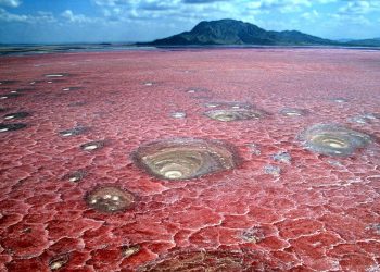 “Liqeni i gjakut” që i kthen kafshët në “gur” –