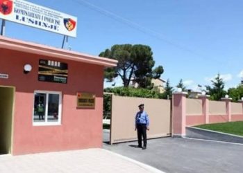 Emri/Detaje nga plagosja me armë zjarri në Lushnjë –