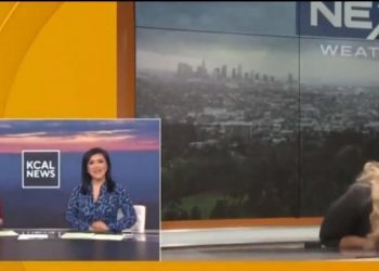 VIDEO/ Prezantueses i bie të fikët në transmetim direkt –