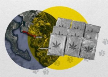 Shqiptarët përdorin të pastrehët për drogën –