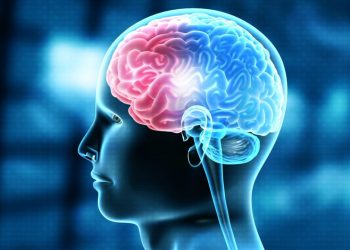 Ja vitamina më e mirë për trurin –