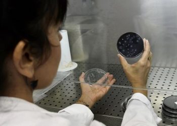 Cilat janë “viruset zombi”, ende të gjalla pas 50 mijë vjetësh –