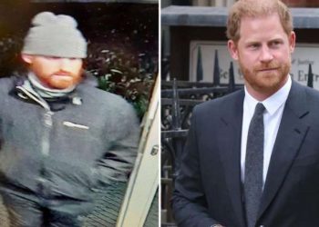 Princi Harry me një sozi hajdut! –