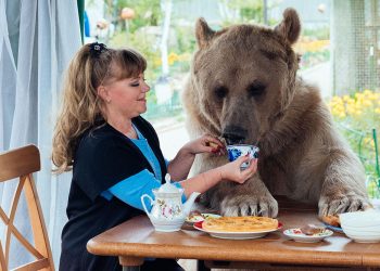 Alergjia e kafshëve shtëpiake te fëmijët, ja si ta dallojmë atë –