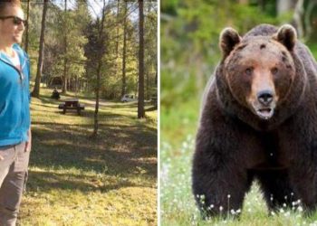 E rëndë, vritet nga ariu atleti italian –