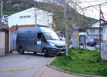 Djali vrau nënën, Prokuroria jep detajet –