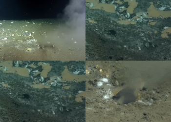 Bota në rrezik? Zbulohet e çara e frikshme në fund të Paqësorit –