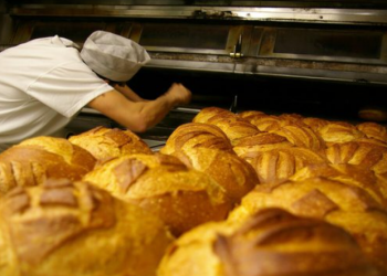 Furrxhi dhe tregtar droge, pranga shqiptarit në Itali