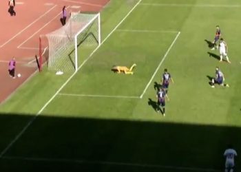 Vllaznia “ka bërë llafe” me golin, me Bylis vetëm 0-0 –