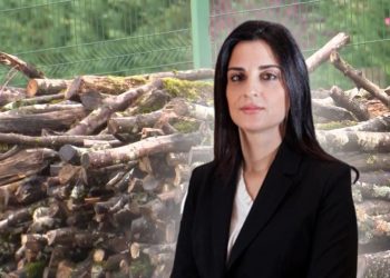 Fëmijët ngrinë në dimër, Sako blen në pranverë 400 MLN lekë dru –