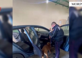 VIDEO/Me armë zjarri në kufi, në pranga 45 vjeçari nga Kosova –