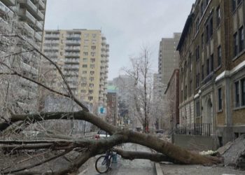 Stuhia e akullit godet qytetin amerikanoverior –