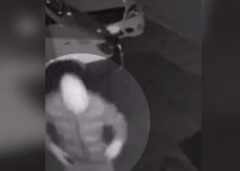 Ky është autori që vendosi GPS në dy makinat e Çekanit në Pogradec –