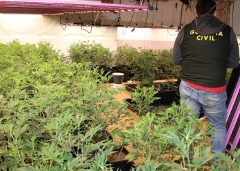 Zbulohen 14 shtëpi bari në Spanjë, arrestohen 19 shqiptarë e rusë –