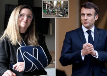 Fyen publikisht Macron, arrestohet 56-vjeçarja franceze –