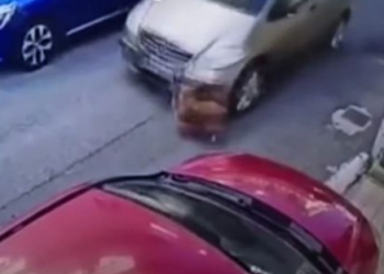 VIDEO/ Gruaja përplas qenin me makinë, gjobë 40 mijë euro –