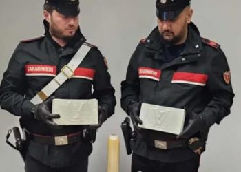 Fshehu kokainën në pyll, arrestohet shqiptari në Itali