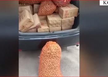Mallra kontrabandë/ Në pranga 3 shtetas, mes tyre një doganier –