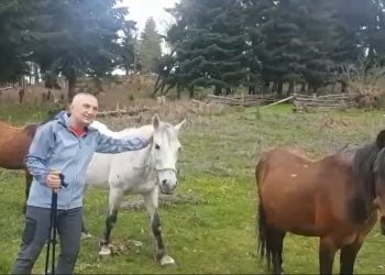VIDEO/ Meta si ‘Vlashi‘, shfaqet këtë të dielë pranë kuajve… –