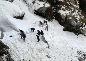 Shtatë të vrarë dhe shumë tjerë të bllokuar nga një ortek bore –