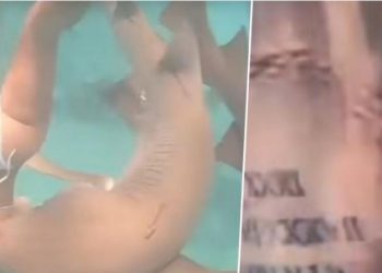VIDEO/ Peshkaqeni i ngul dhëmbët në shpinë notares, ajo… –