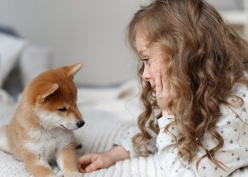 Të jetosh me kafshët shtëpiake zvogëlon rrezikun nga alergjitë –