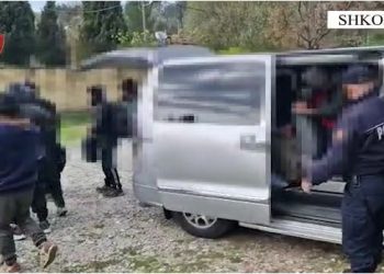 VIDEO/ Transportonte emigrantë, pranga 66-vjeçarit në Shkodër –